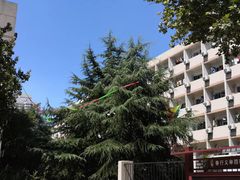 -山东大学(千佛山校区)