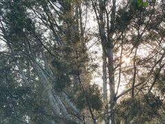 -香山公园