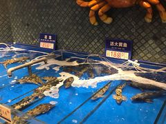 -新海渔港·胶东海鲜家常菜·家宴(奥体中心店)