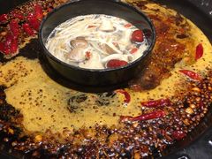 红锅-重庆渝达老火锅(春熙路店)