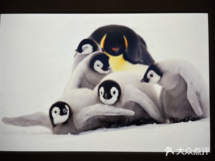 罗红摄影艺术馆图片