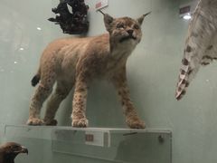 -陕西自然博物馆