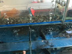 海鲜池-姚林轩