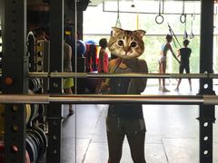 -能量健身私教工作室(1527店)