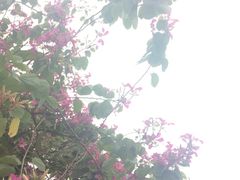 -广东财经大学(佛山校区)