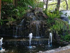 -绿光森林餐厅