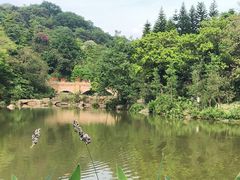 -云溪植物园