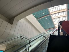 -龙阳路磁悬浮列车总站-停车场