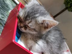 -万小咖.猫咖(中山路天虹店)