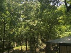 -中国茶叶博物馆(双峰馆区)