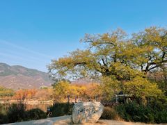 -国家植物园南园