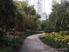 -晓港公园