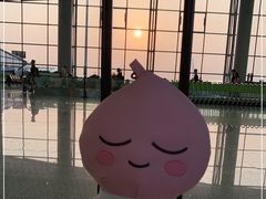 -广州白云国际机场-T2航站楼