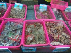 -春园海鲜广场D区6号(钟姐海鲜加工店)