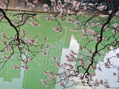 -红星桥(地铁站)