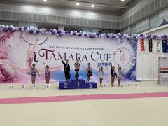 -上海德威外籍人员子女学校(浦东校区)