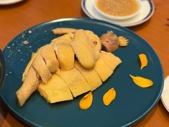 消失的名鸡-广州富力君悦大酒店空中花园