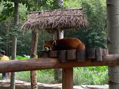 -北京野生动物园