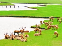 -溱湖国家湿地公园