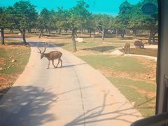 -西安秦岭野生动物园