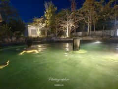 -温泉九龙山庄·温泉
