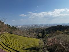 -敬亭山风景名胜区