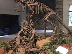 -自贡恐龙博物馆