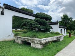 -盆景园(扬州大运河文化旅游度假区)