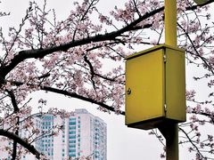 -西北湖绿化广场