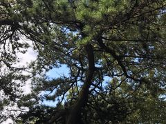 -罗田薄刀峰风景区