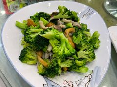 -大鸭梨烤鸭店(金顶街店)