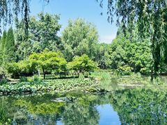 -洛阳市隋唐城遗址植物园