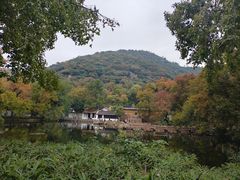 -白马涧龙池景区