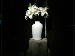 -觀芷隐轩