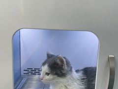 -萌兽医馆·绝育·24小时内科·宠物医院(德胜店)