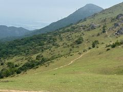 -大姆山草场