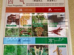-广州神农草堂中医药博物馆