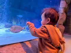 -沈阳海洋探索中心