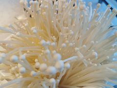 -左庭右院鲜牛肉火锅(苏州园区永旺店)