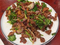 -邵年鸽(杨庄店)