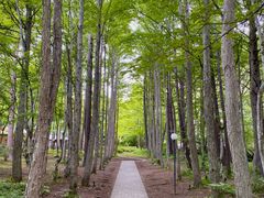 -轻井泽高原教堂
