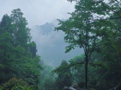 -刘伯温故里景区百丈漈