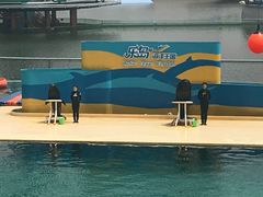 -秦皇岛乐岛海洋王国