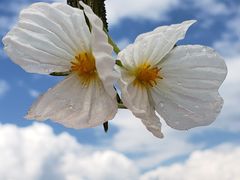 -丽江泸沽湖景区