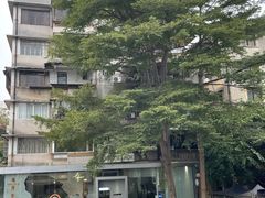 -垂虹公园