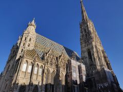 -斯蒂芬主教座堂(Stephansdom)