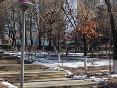 -长白岛森林公园