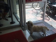 -香妃烤鸡(西单店)