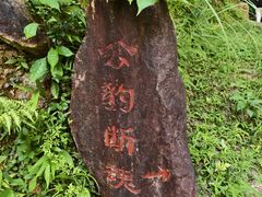 -天台山琼台仙谷景区