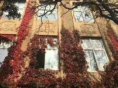 -辽宁大学(崇山校区)